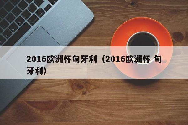 2016欧洲杯匈牙利（2016欧洲杯 匈牙利）
