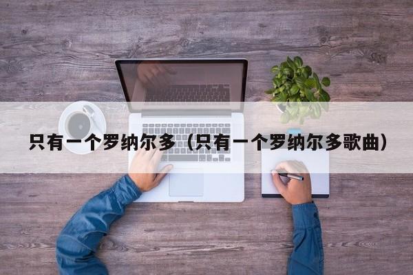 只有一个罗纳尔多（只有一个罗纳尔多歌曲）