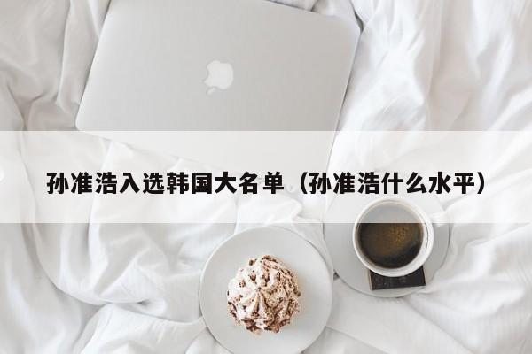 孙准浩入选韩国大名单（孙准浩什么水平）
