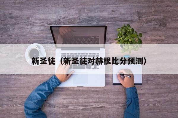 新圣徒（新圣徒对赫根比分预测）