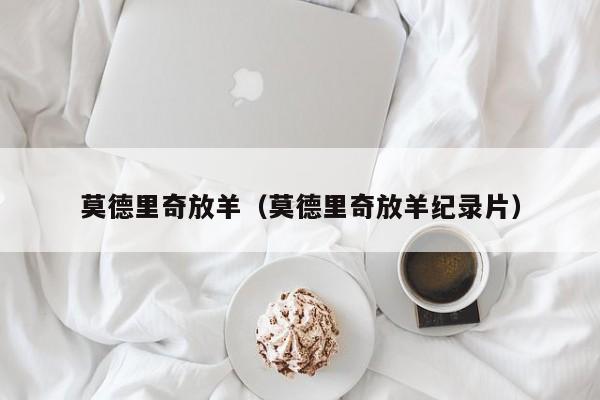 莫德里奇放羊（莫德里奇放羊纪录片）