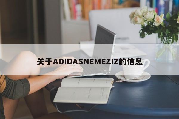 关于ADIDASNEMEZIZ的信息