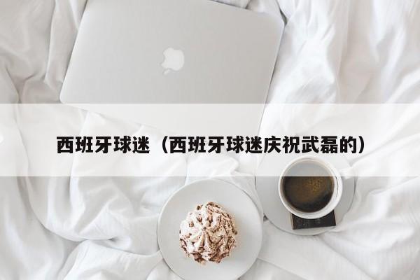 西班牙球迷（西班牙球迷庆祝武磊的）