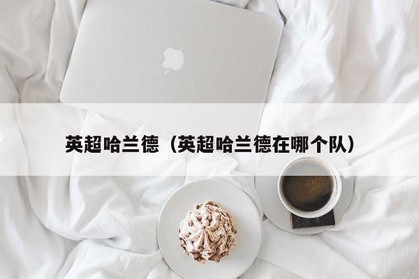 英超哈兰德（英超哈兰德在哪个队）